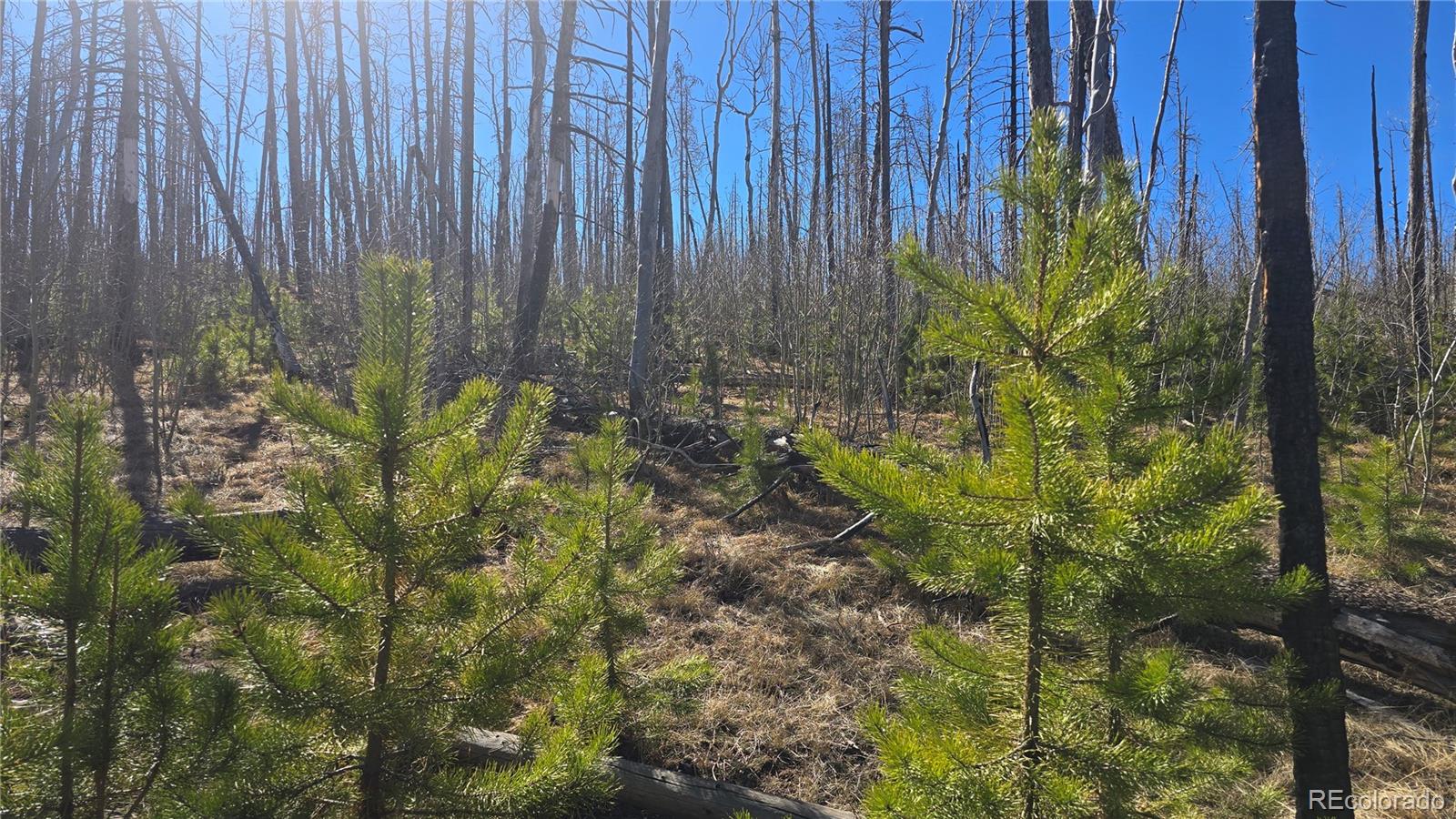 Lot 1470 Von Heyl Ln, Fort Garland, CO 81133