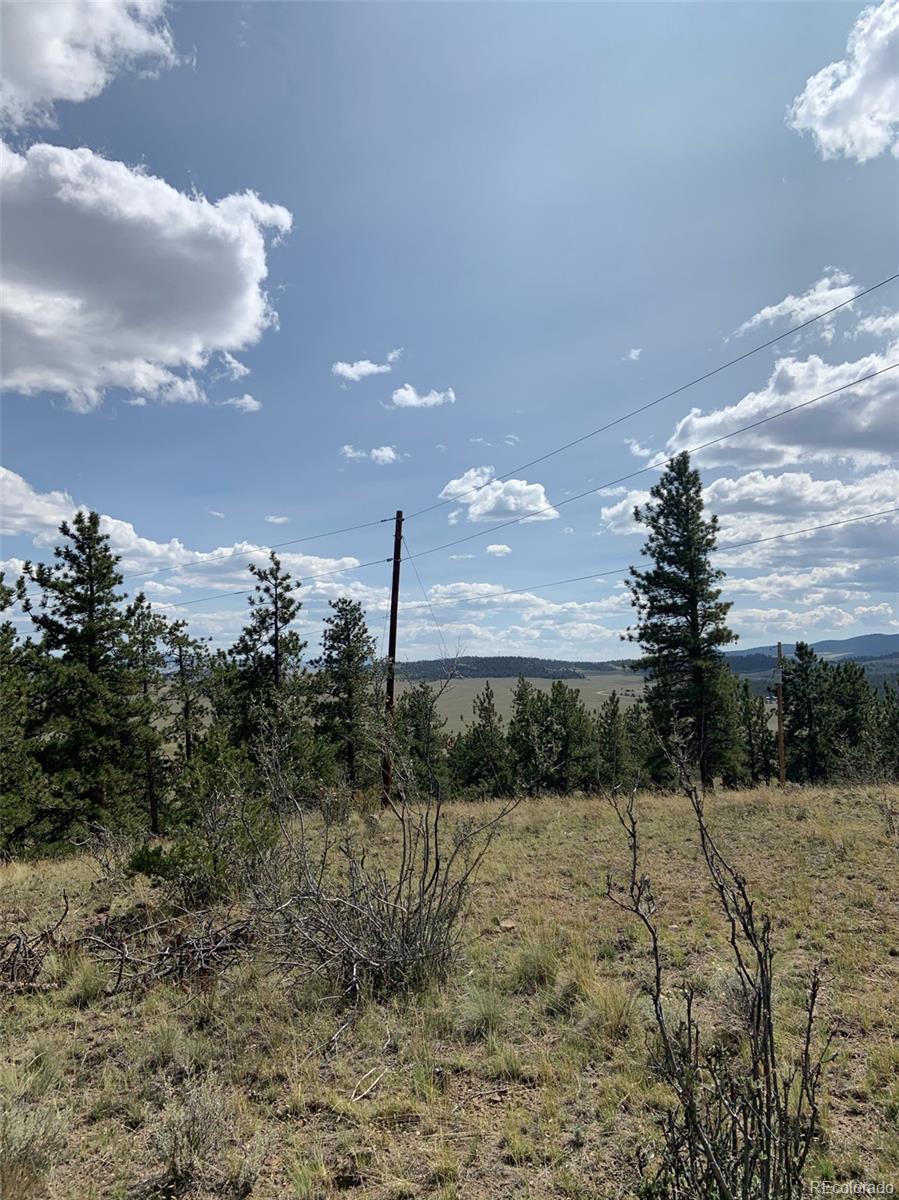 52 Bit Way, Hartsel, CO 80449