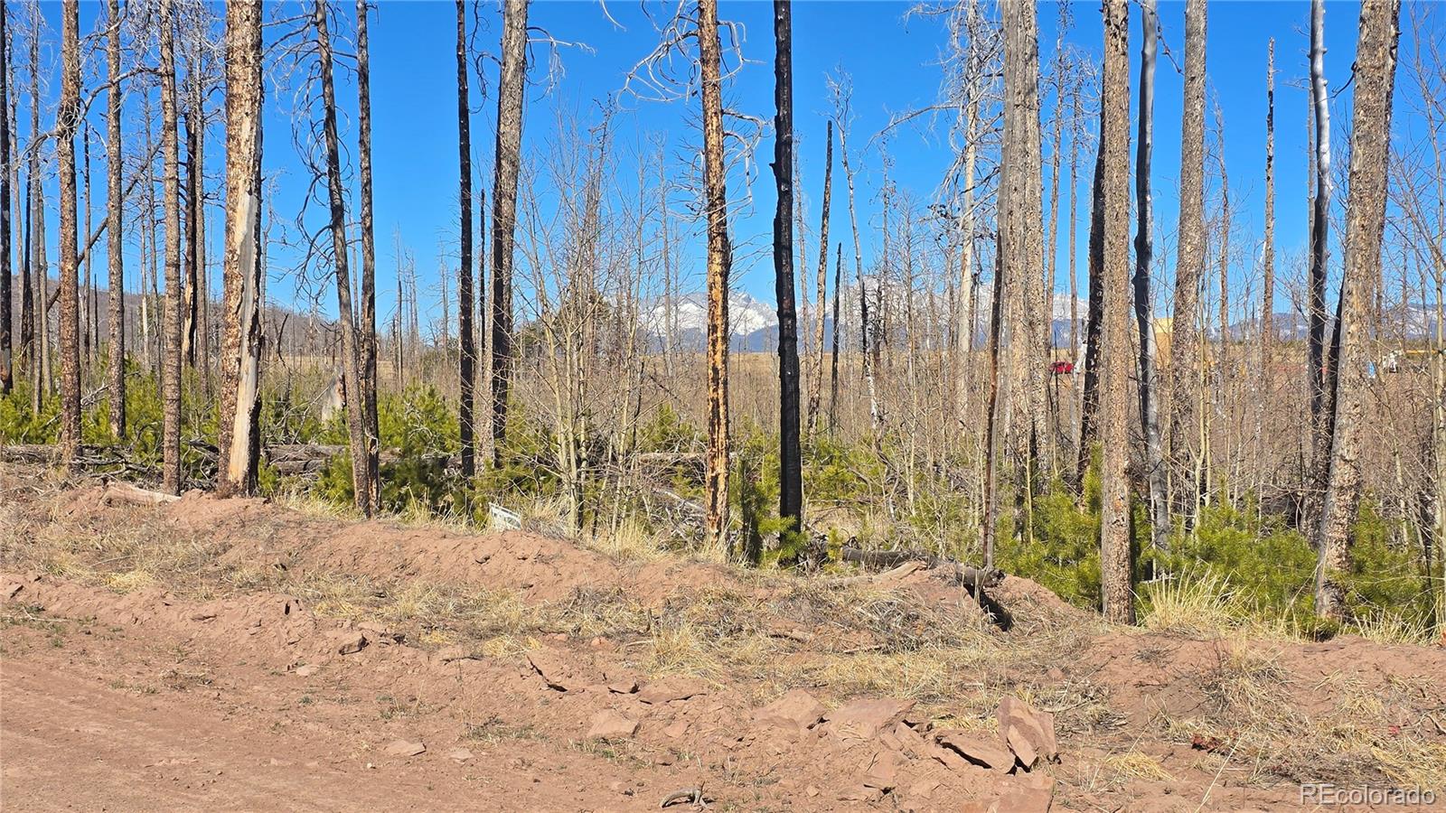 Lot 1460 Von Heyl Ln, Fort Garland, CO 81133