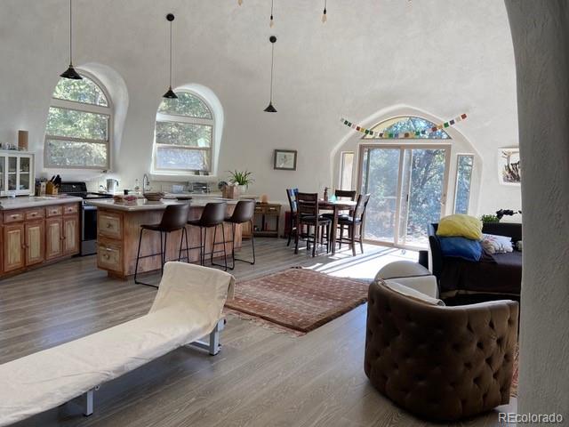 408 N Chaparral Way, Crestone, CO 81131