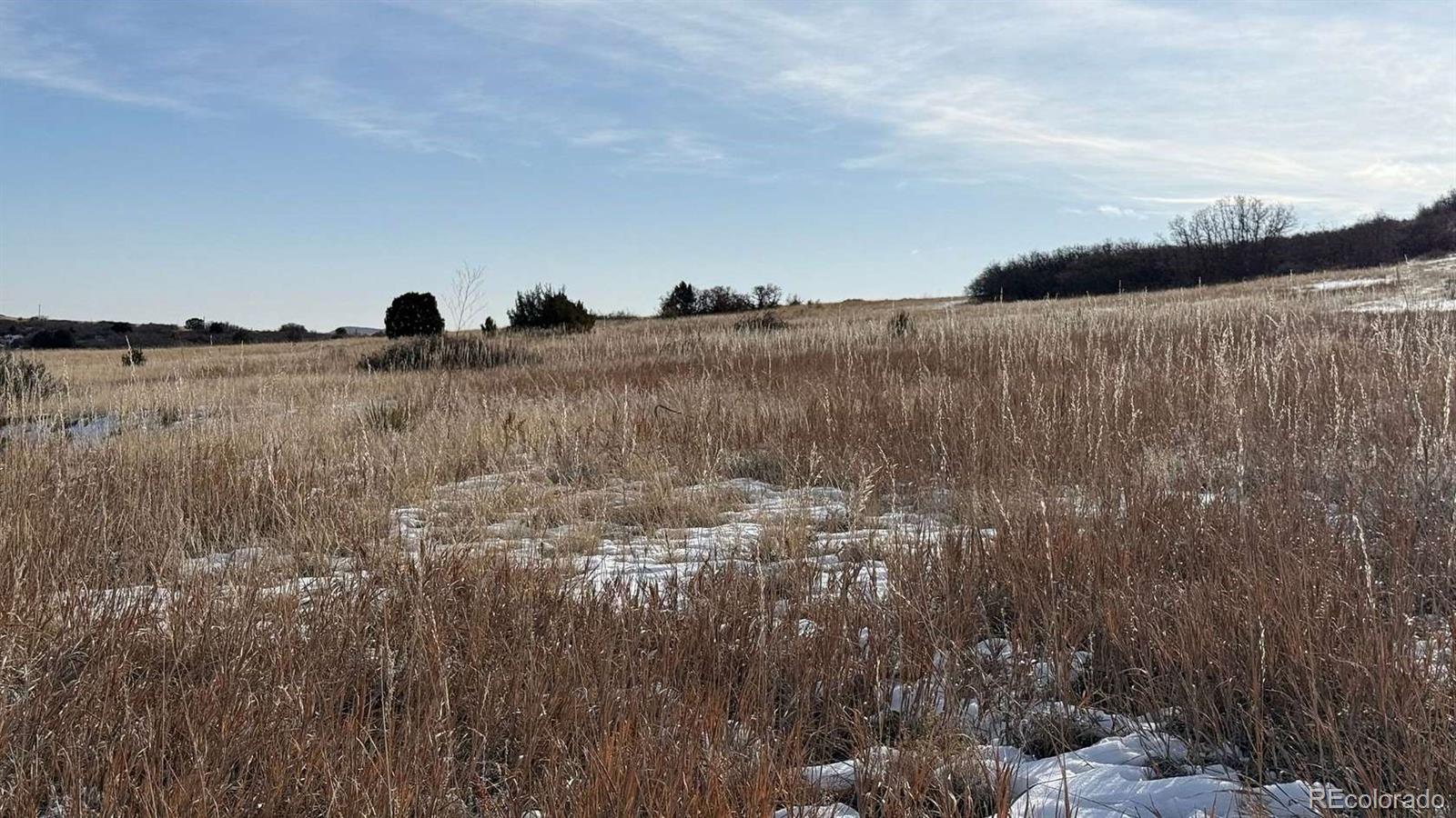 Davlin St, Colorado City, CO 81019