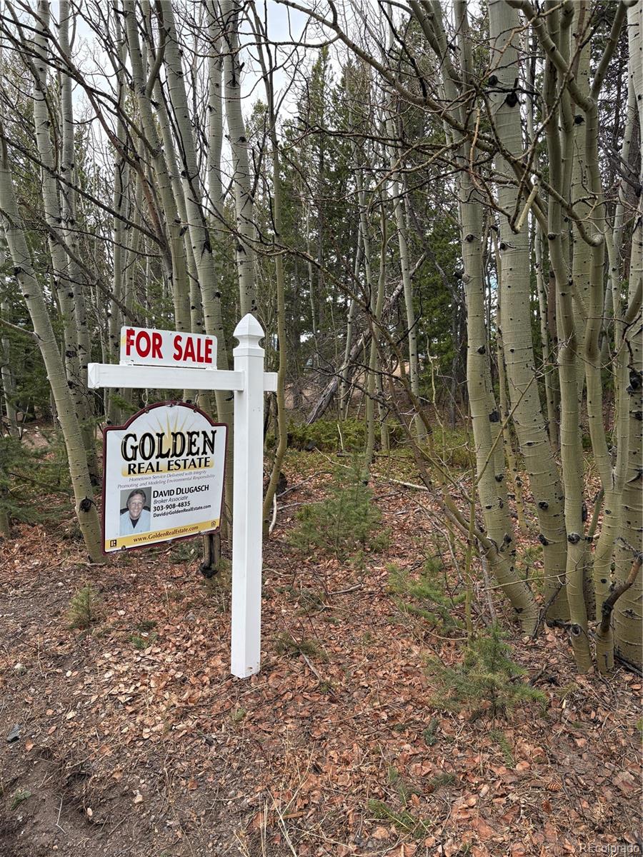 34251 Skyline Dr Lot 044124, Golden, CO 80403