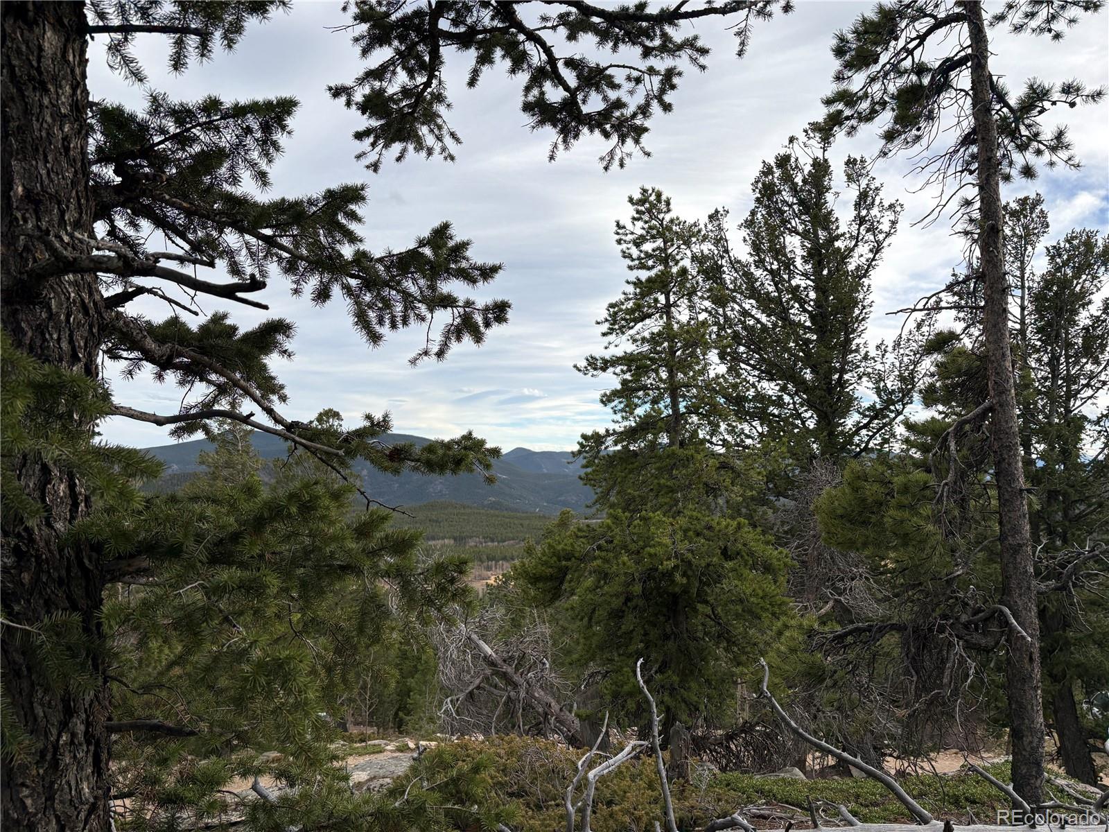 34251 Skyline Dr Lot 044124, Golden, CO 80403
