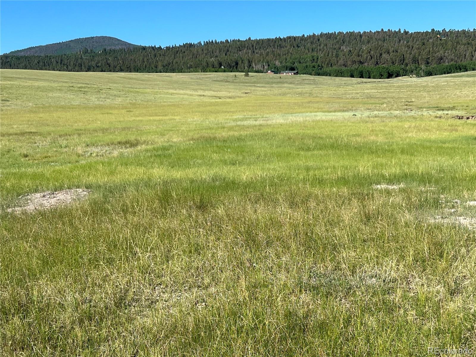 3 Ranch Lot 3, Hartsel, CO 80449