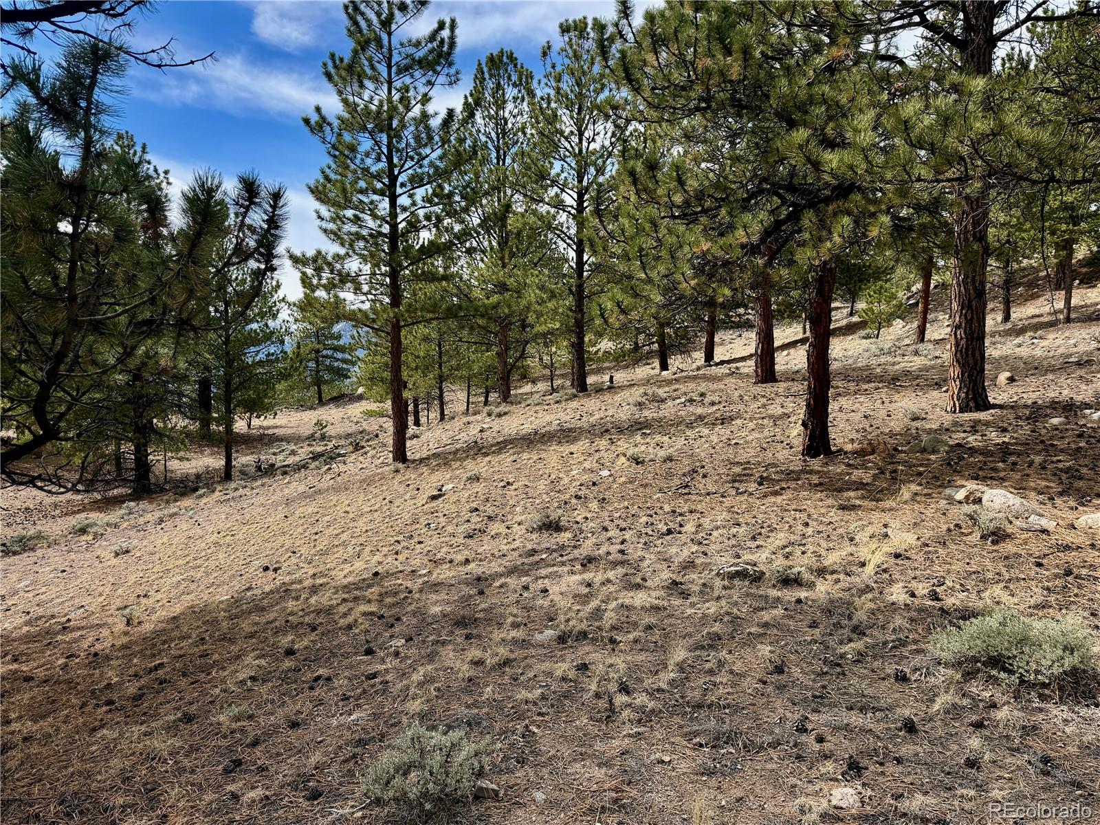 142 La Plata Peak Dr, Twin Lakes, CO 81251