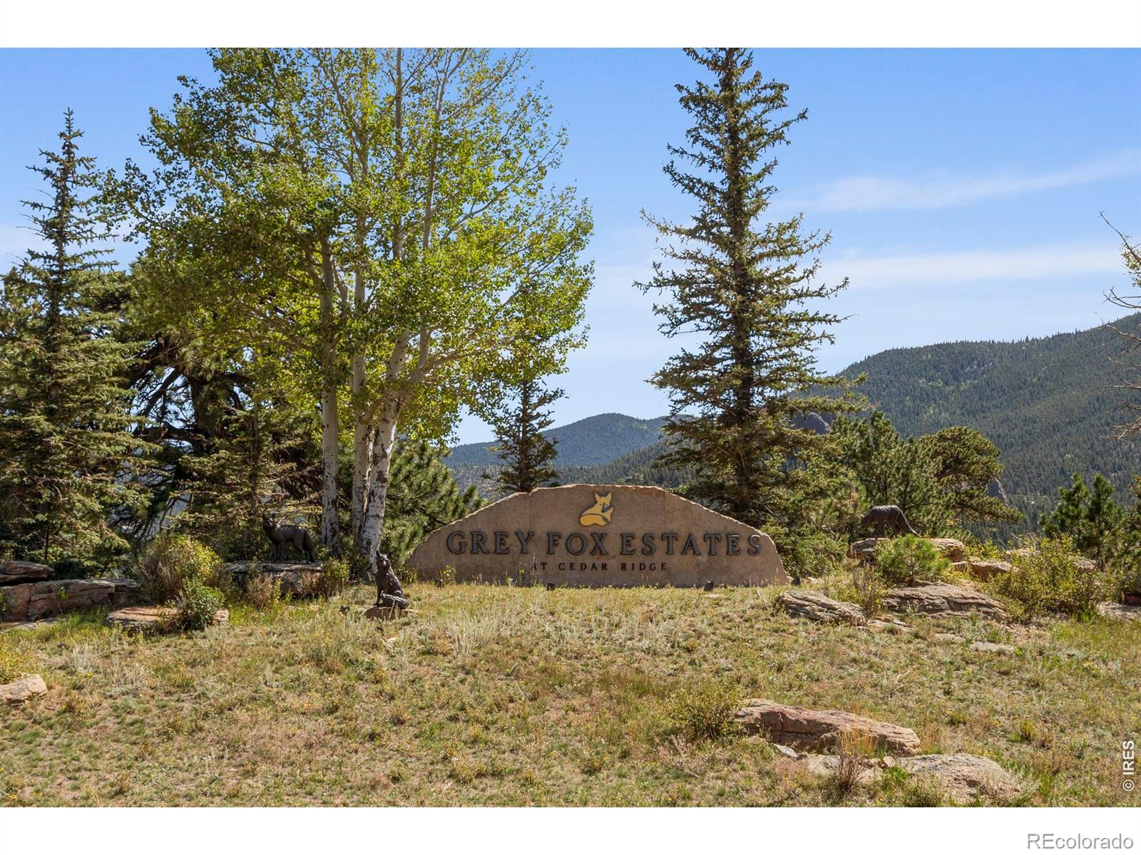 303 Green Pine Ct, Estes Park, CO 80517