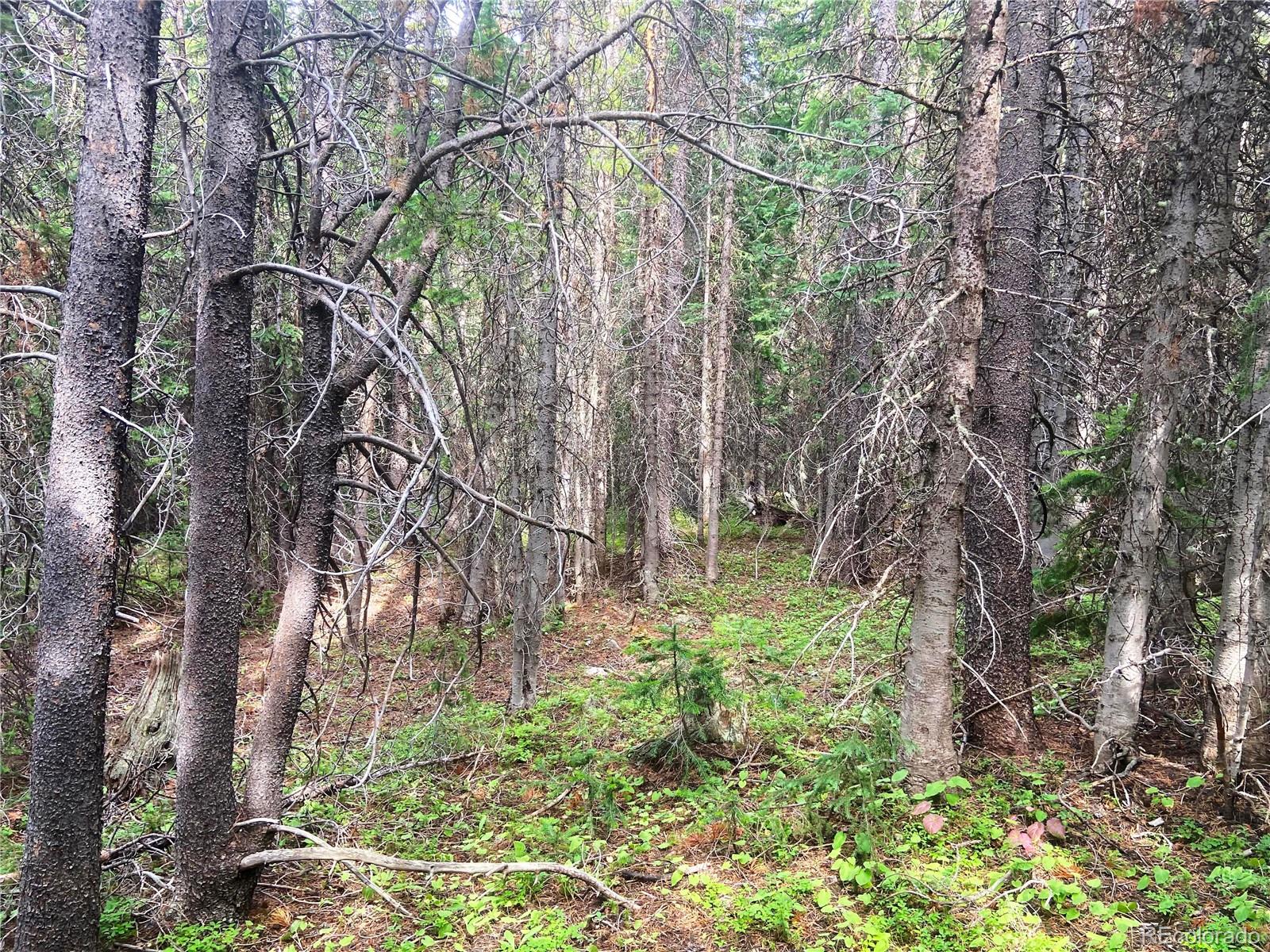 00 Fs 413 1 Lot 20109, Black Hawk, CO 80422