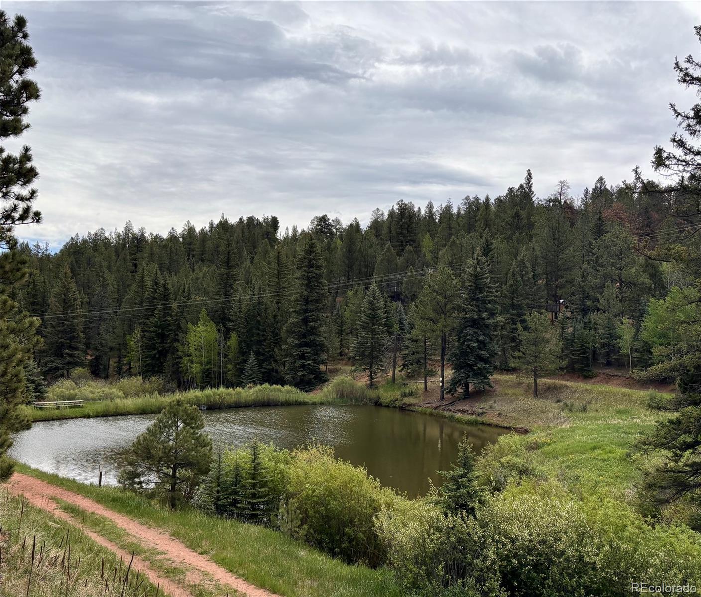 12447 S Danny Ave, Pine, CO 80470