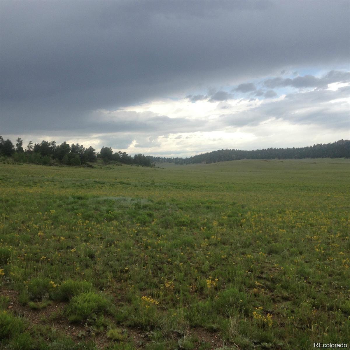 1681 Athapascan Rd, Hartsel, CO 80449