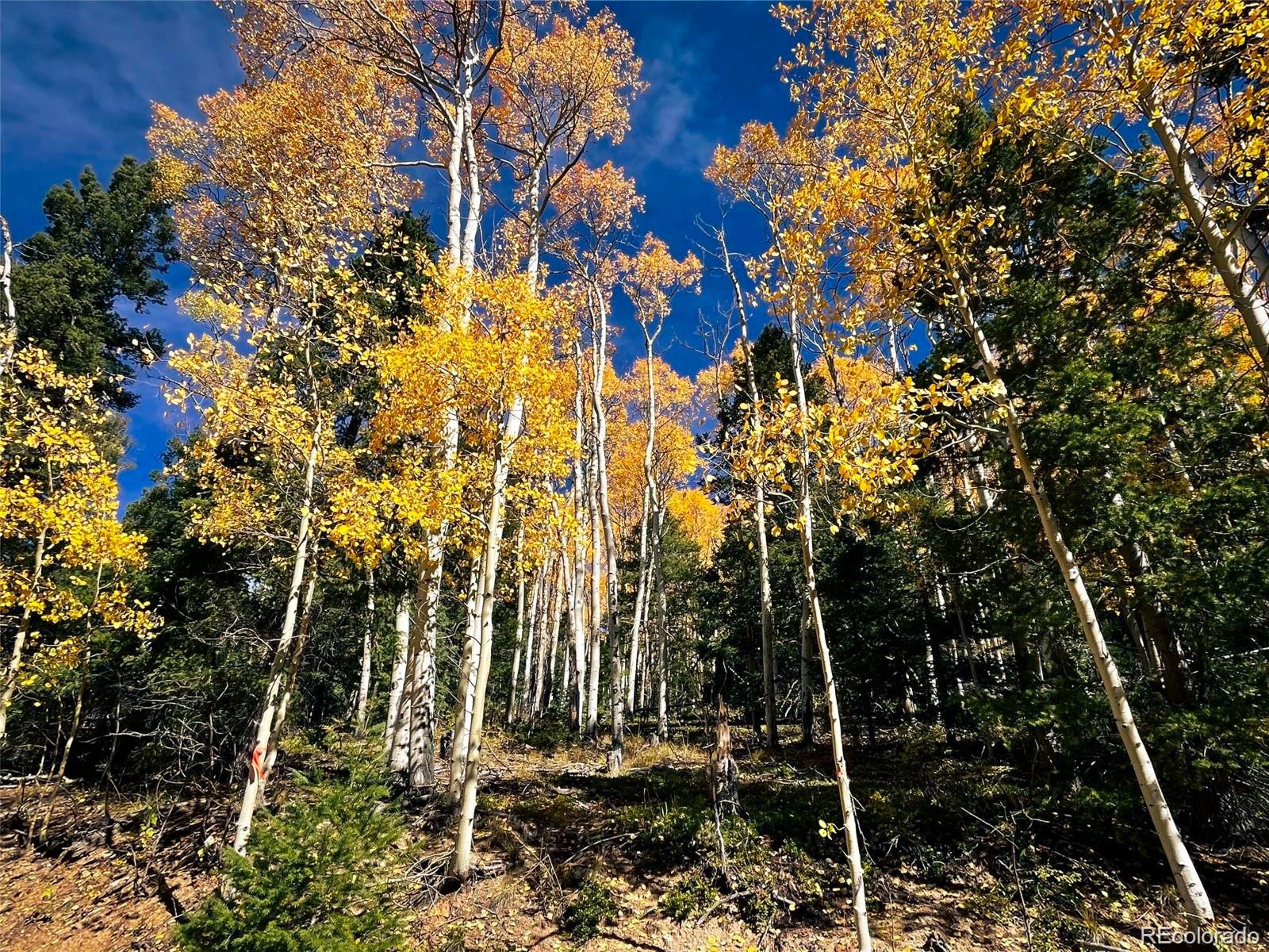 LOT 6187 Starkbeather Rd, Fort Garland, CO 81133