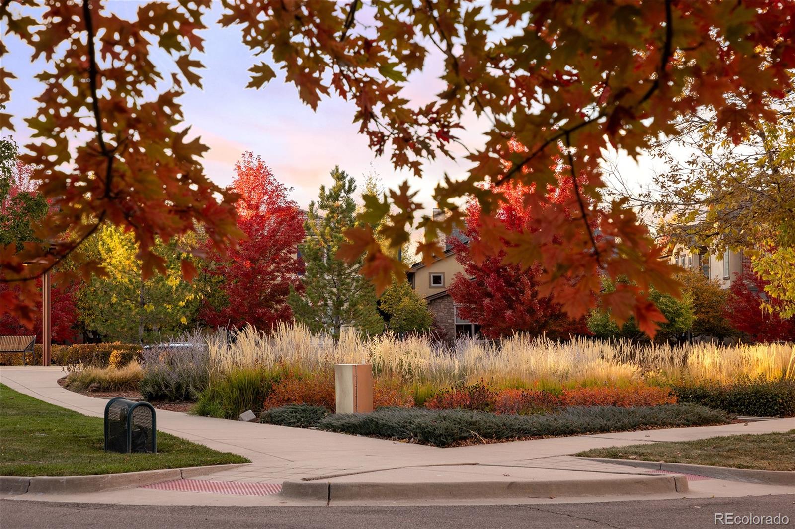 8100 E 24th Ave, Denver, CO 80238