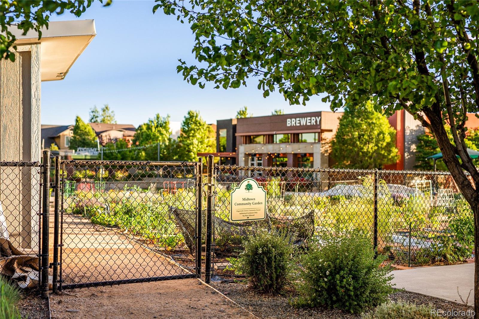 6893 Canosa, Denver, CO 80221
