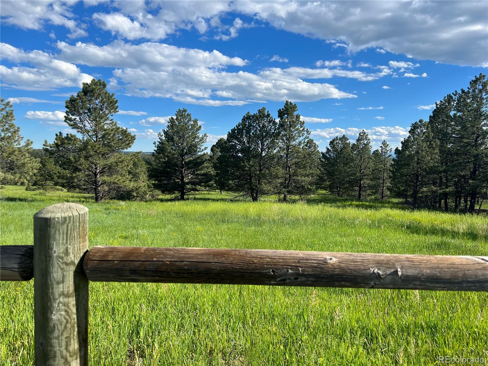 10290 Democrat Rd, Parker, CO 80134