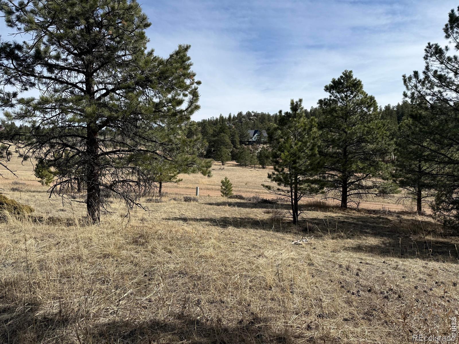65 Haystack Ct, Livermore, CO 80536