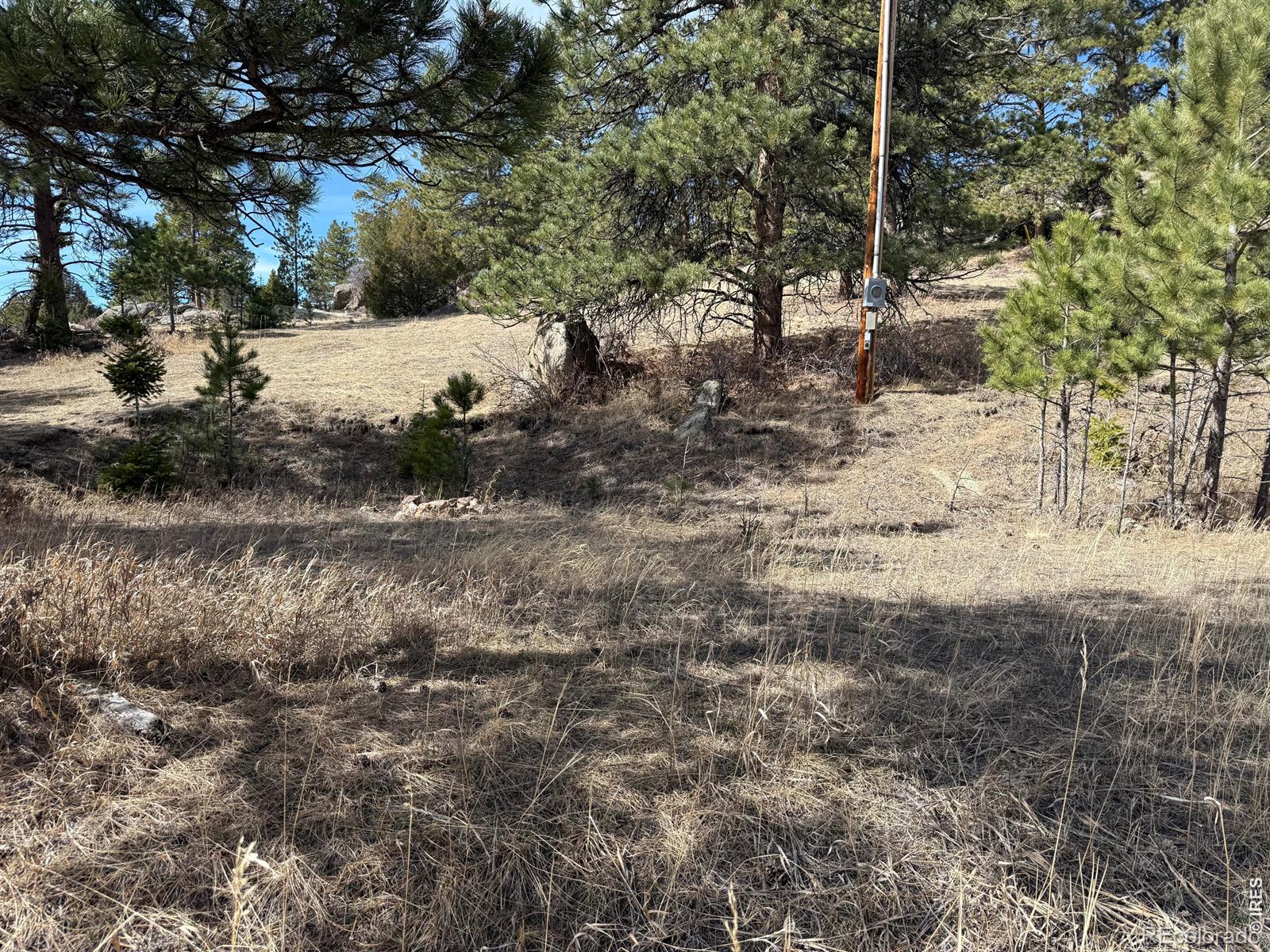 65 Haystack Ct, Livermore, CO 80536