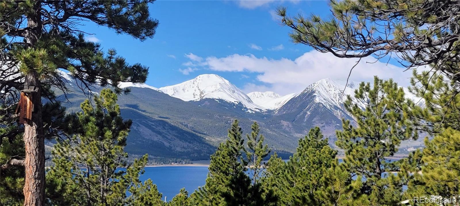 495 Birch Dr, Twin Lakes, CO 81251