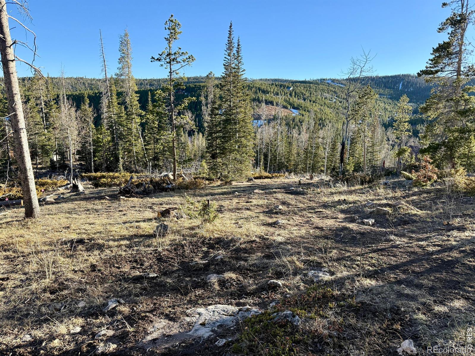 227 Micmac Dr, Red Feather Lakes, CO 80545