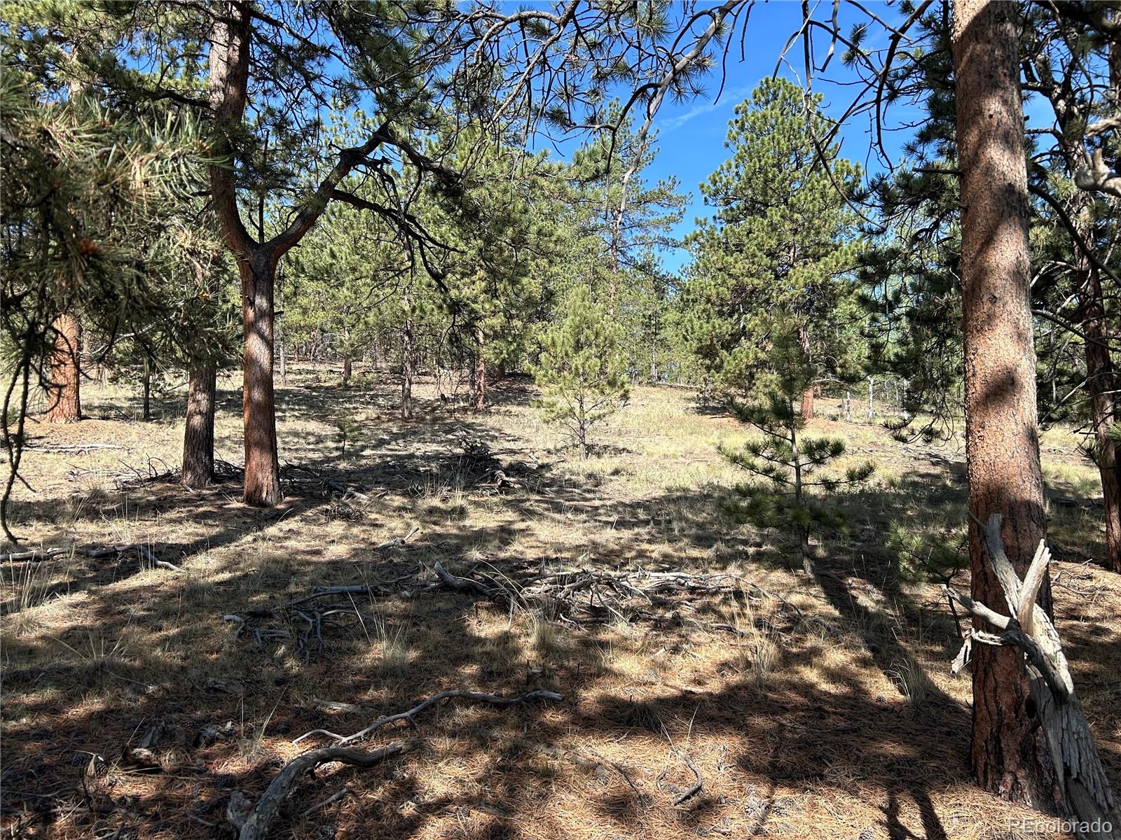 565 Hayhook Way Lot 249, Hartsel, CO 80449