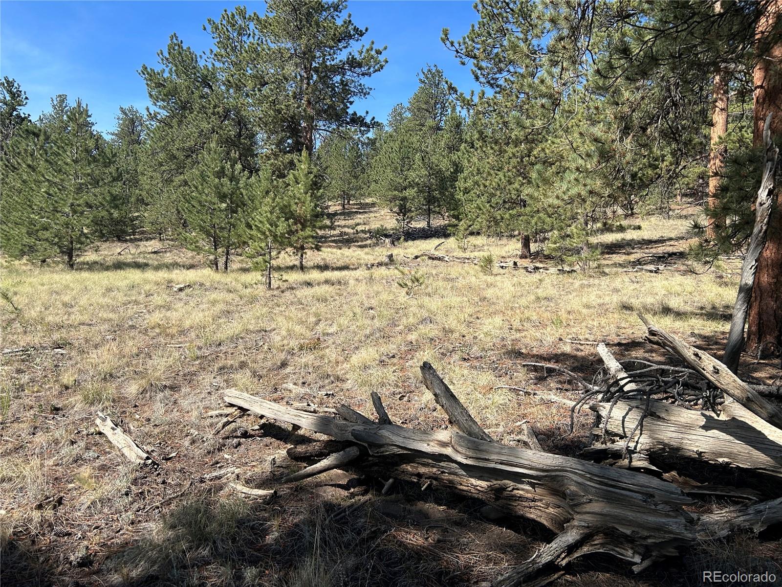 565 Hayhook Way Lot 249, Hartsel, CO 80449