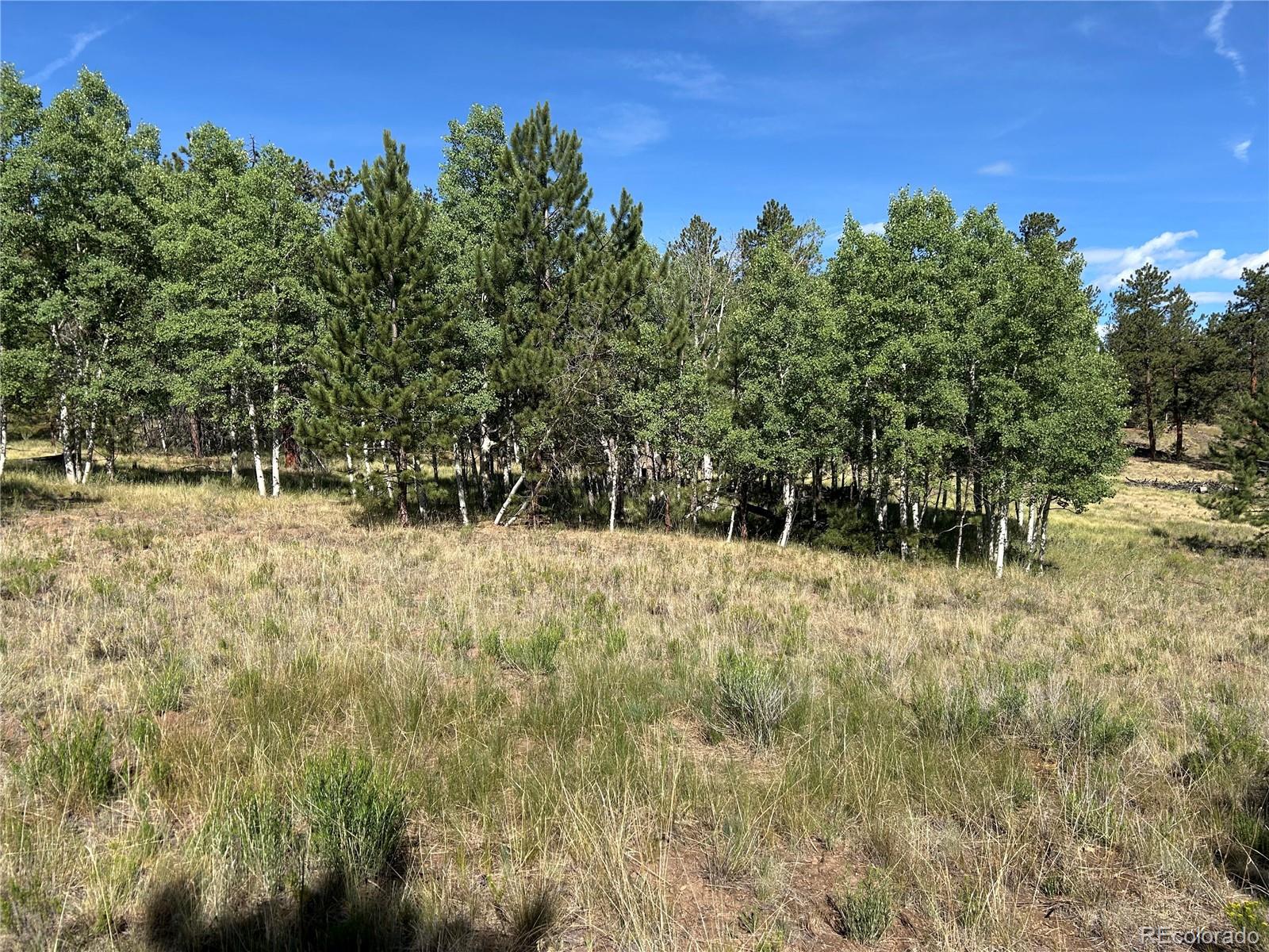 519 Hayhook Way Lot 250, Hartsel, CO 80449