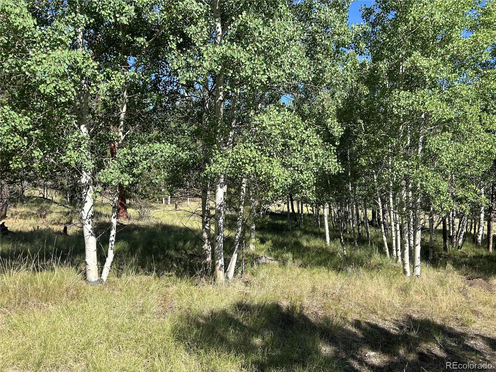 519 Hayhook Way Lot 250, Hartsel, CO 80449