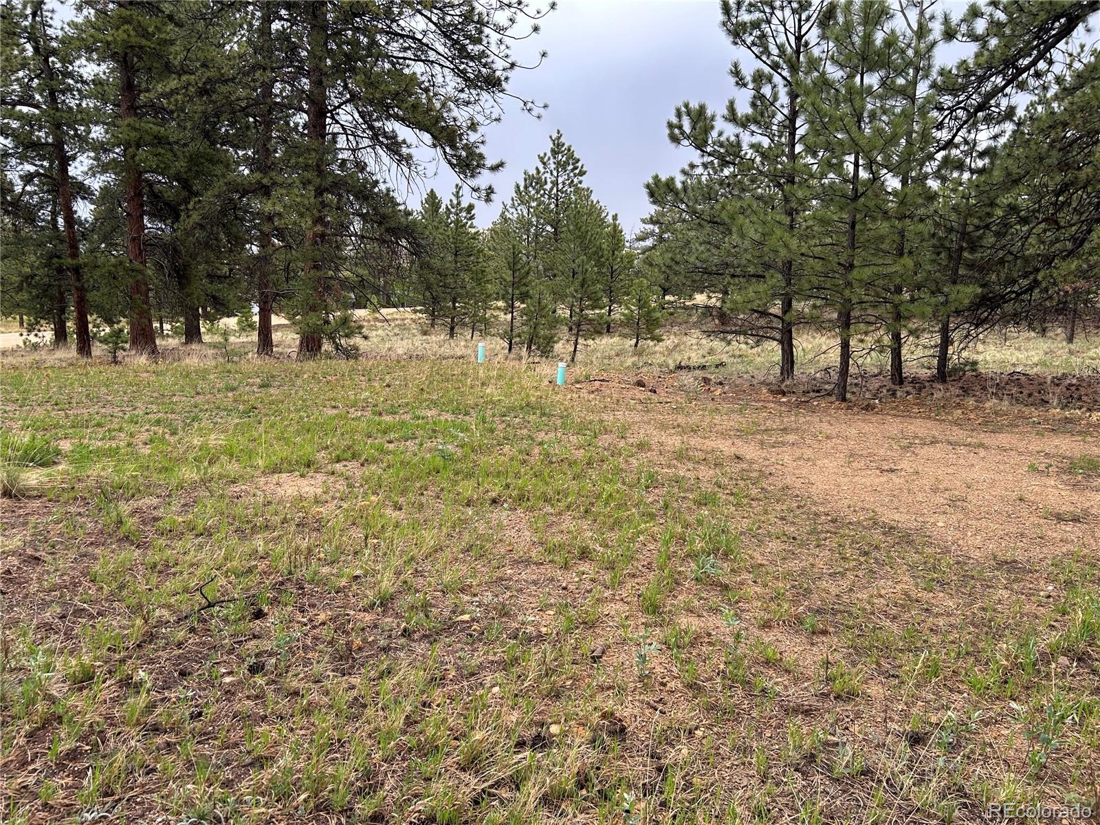 120 Harness Way Lot 222, Hartsel, CO 80449