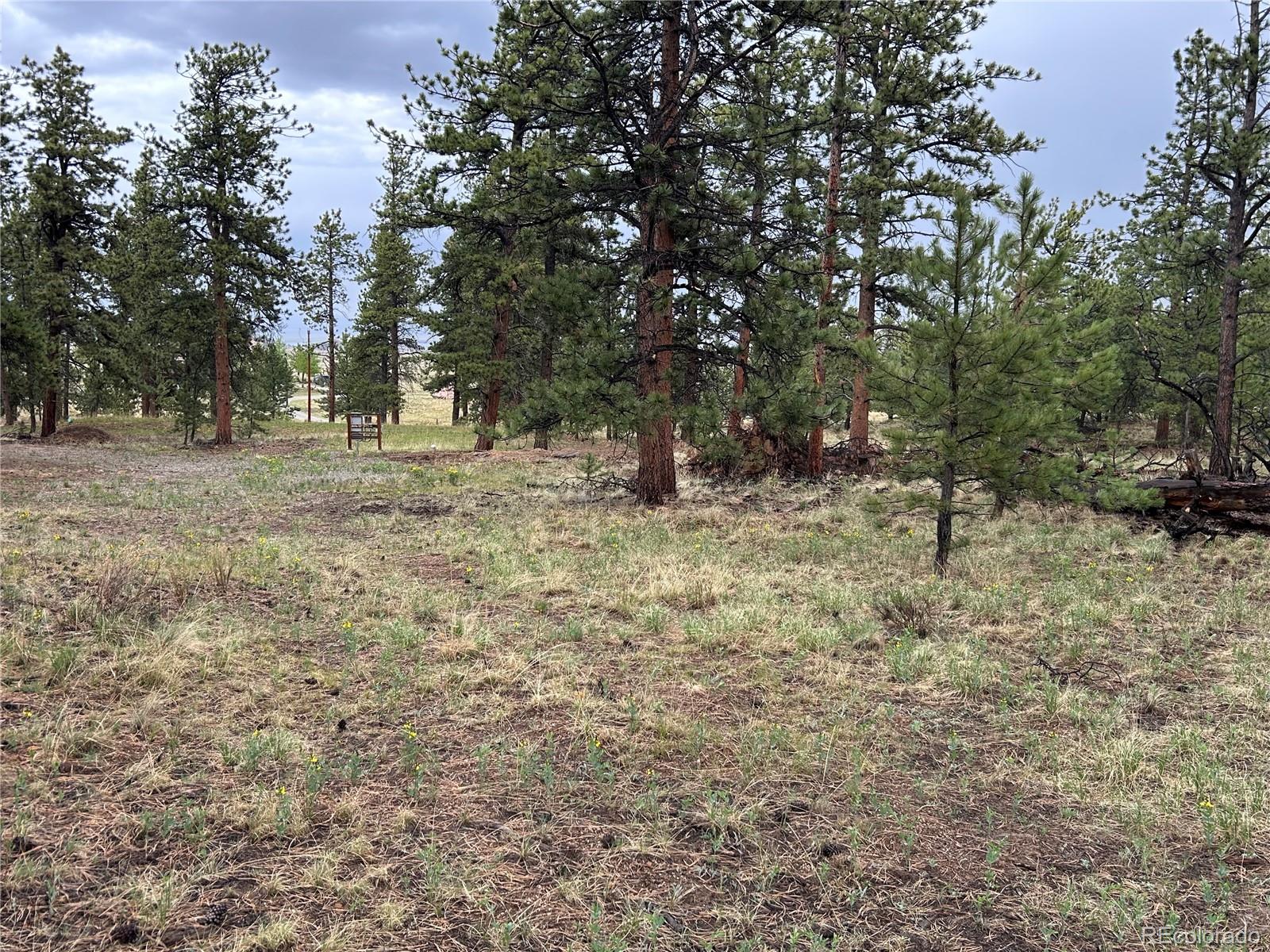 120 Harness Way Lot 222, Hartsel, CO 80449