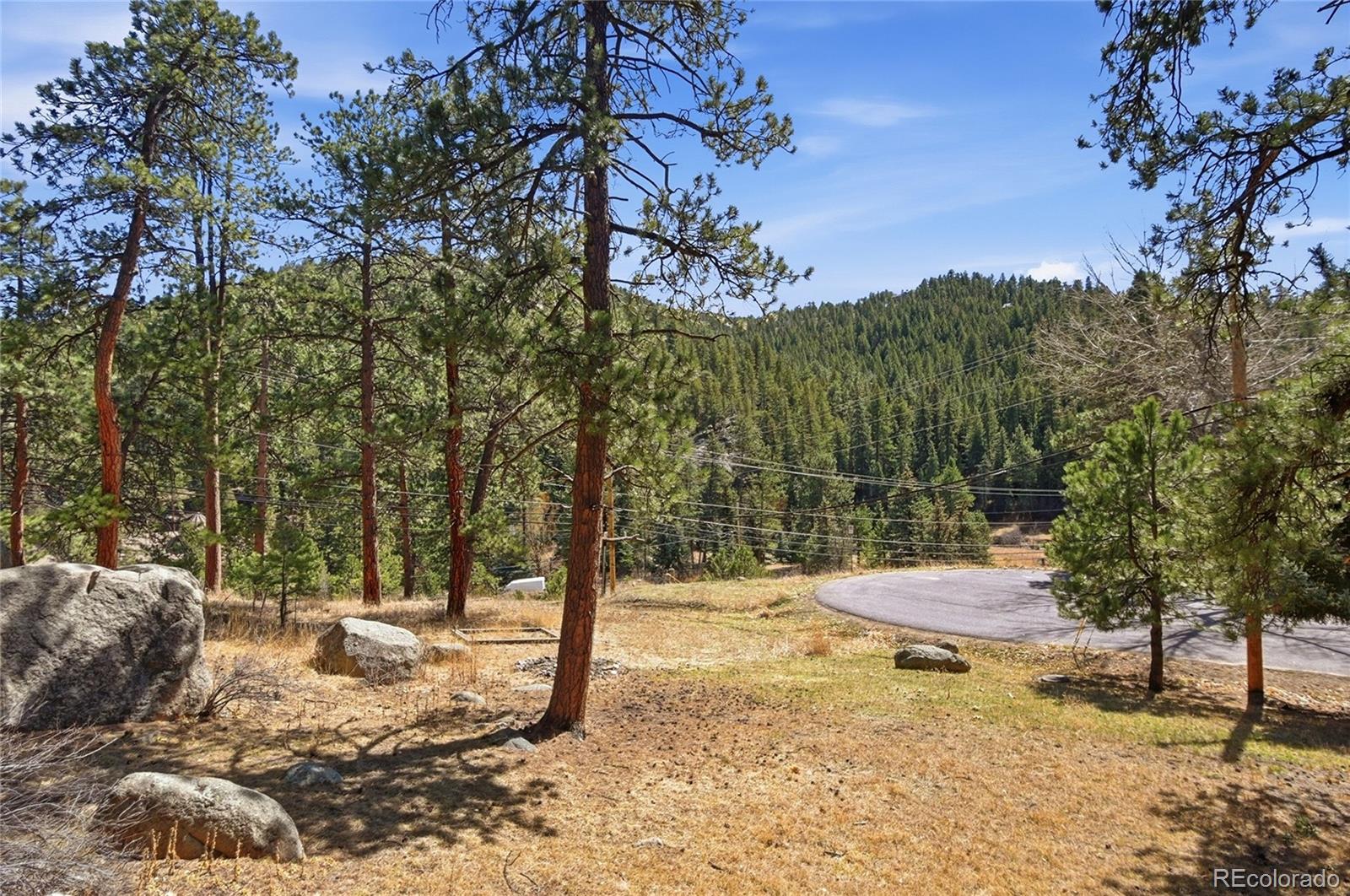 27559 Fireweed Dr, Evergreen, CO 80439