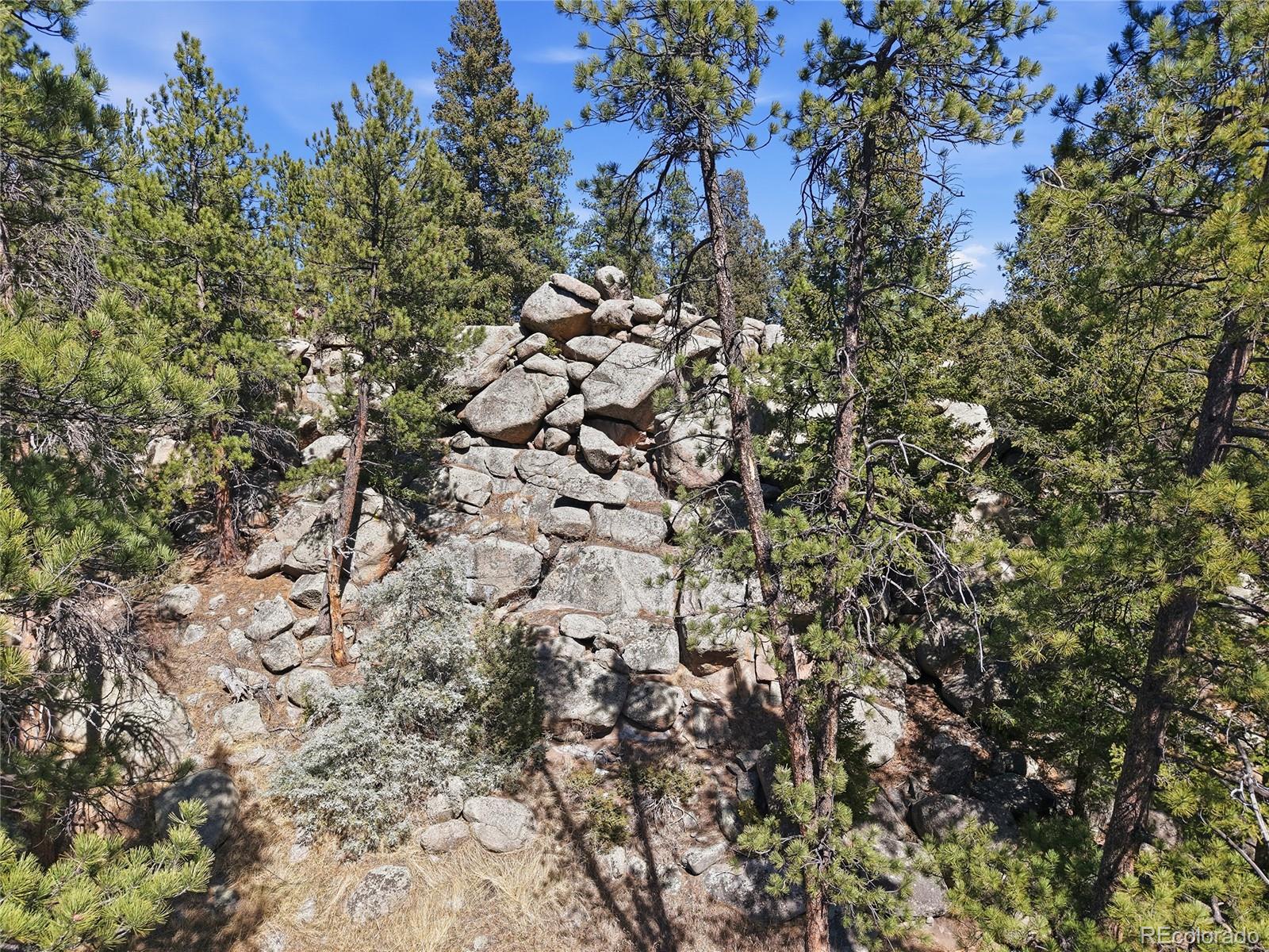 27559 Fireweed Dr, Evergreen, CO 80439