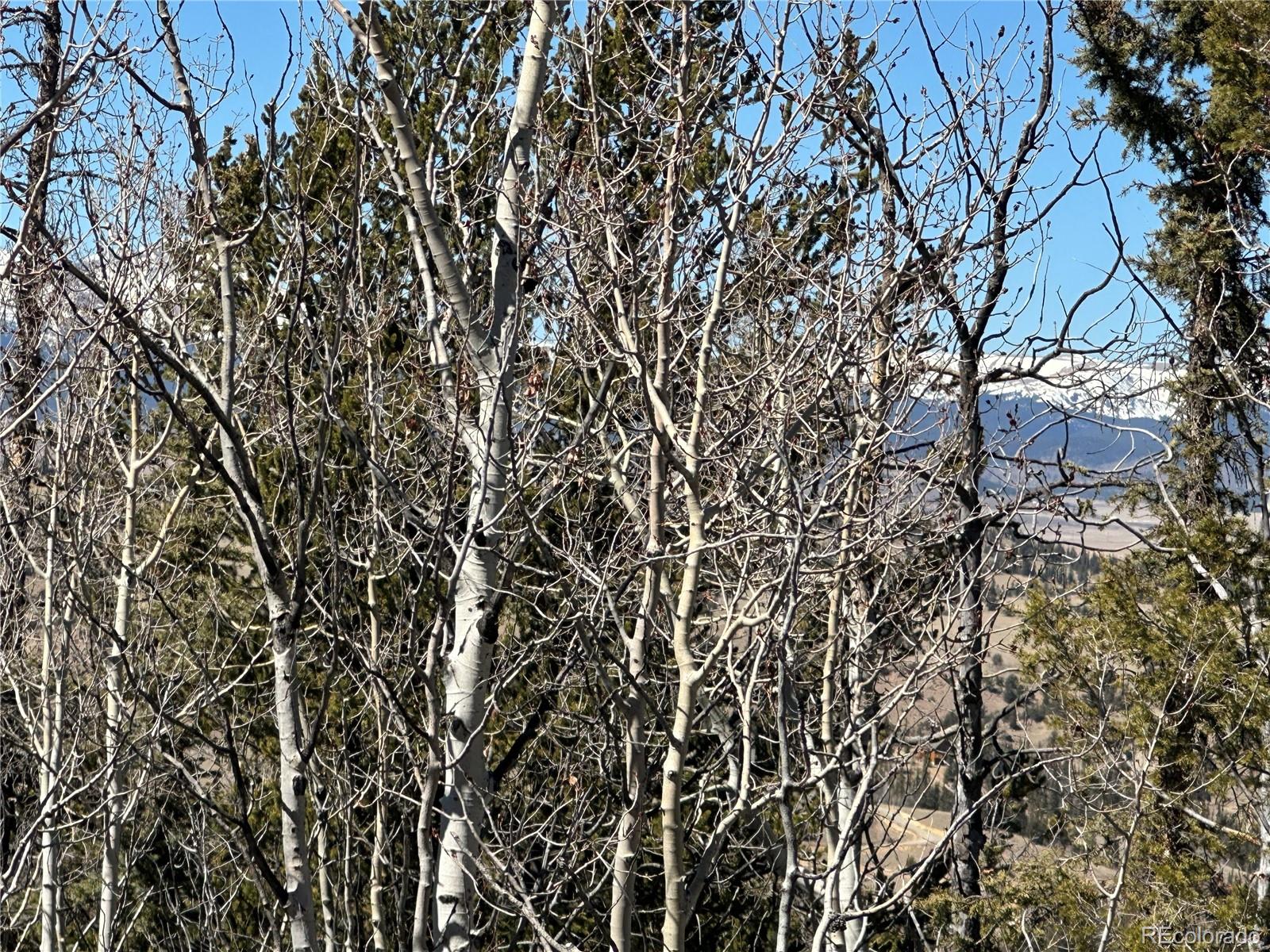 505 N Quarter Horse Rd, Jefferson, CO 80456