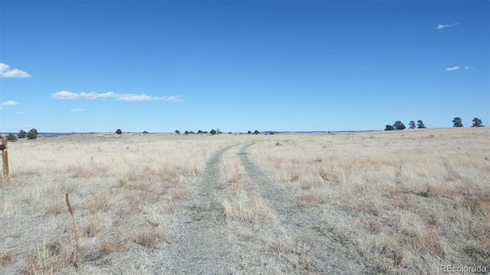 35584 Comanche Creek Rd, Kiowa, CO 80117