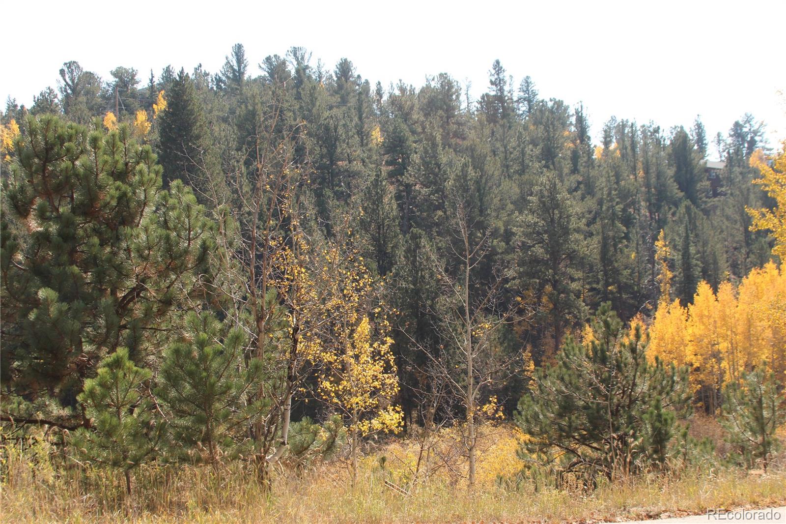 2012 Shelton Dr Lot 11, Bailey, CO 80421