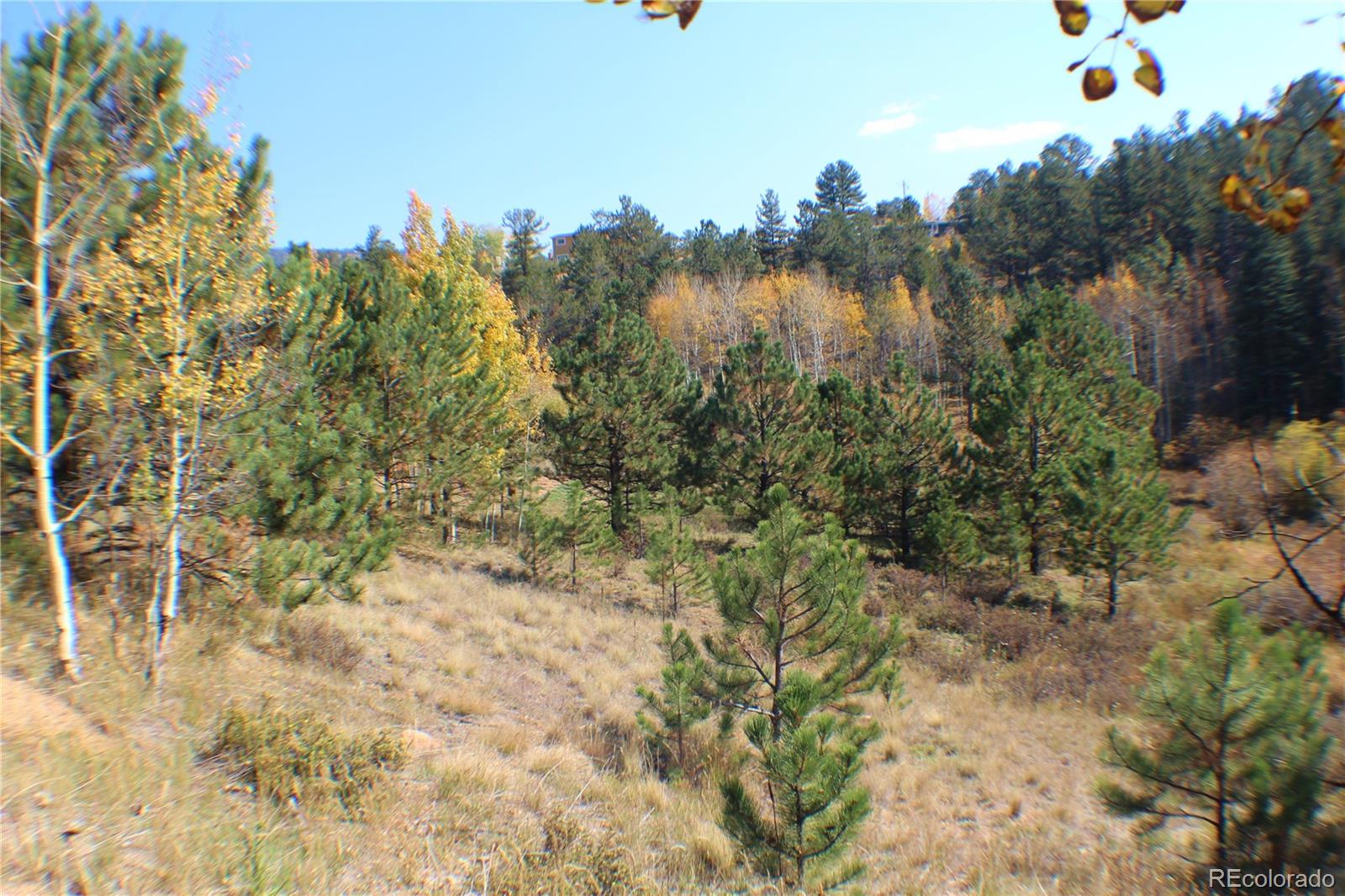 2012 Shelton Dr Lot 11, Bailey, CO 80421
