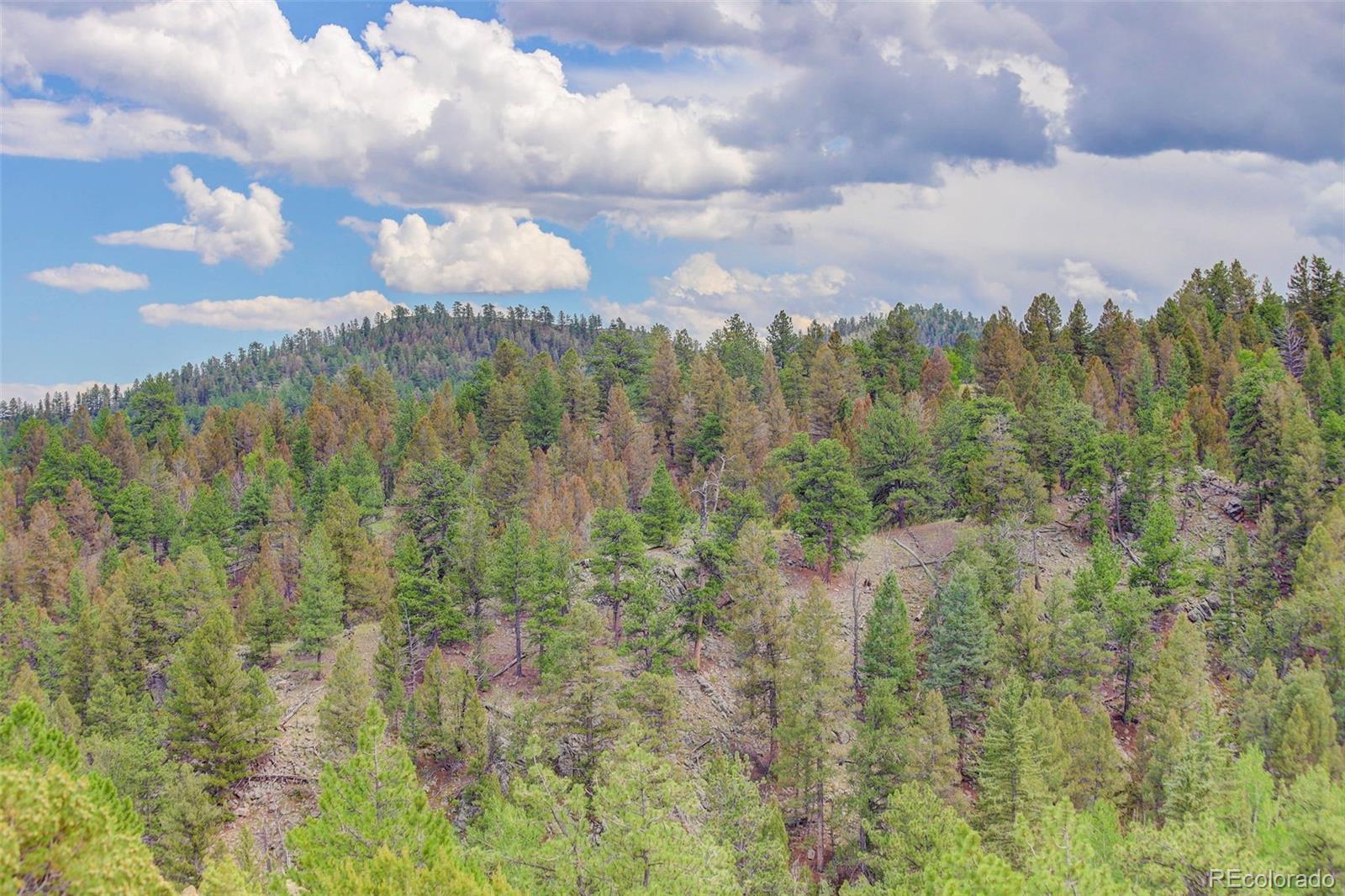 212 Skyhawk Ln, Guffey, CO 80820