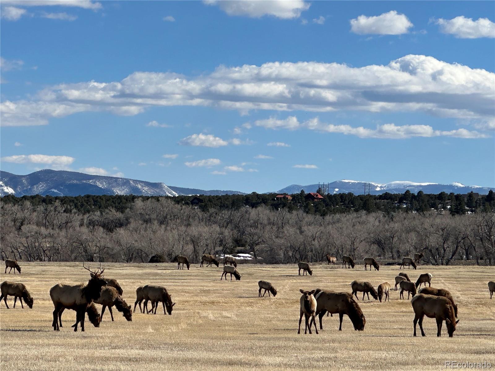 16103 Us Highway 285, Salida, CO 81201