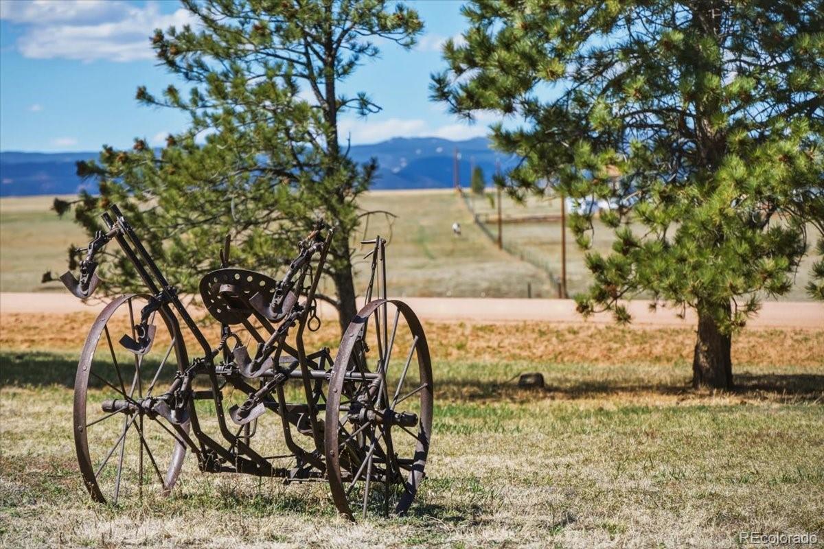 12720 Mesa View Rd, Larkspur, CO 80118