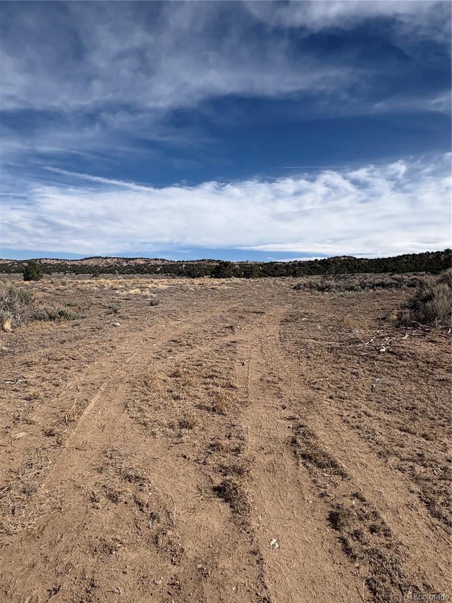 Lot 2121 Acapulco Rd Lot 2121, Fort Garland, CO 81133