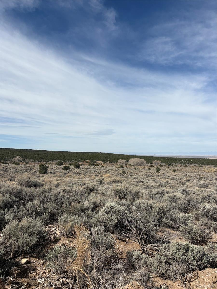Lot 2121 Acapulco Rd Lot 2121, Fort Garland, CO 81133