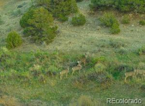640 County Rd 571, Gardner, CO 81040