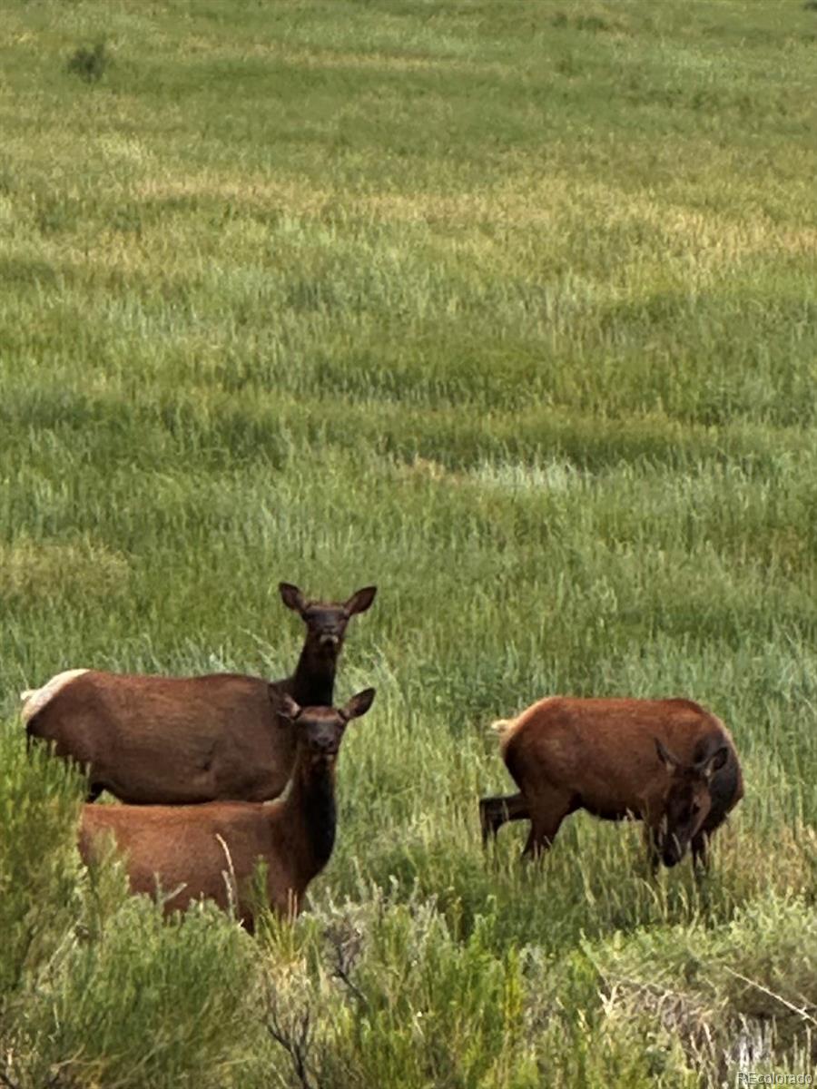 640 County Rd 571, Gardner, CO 81040