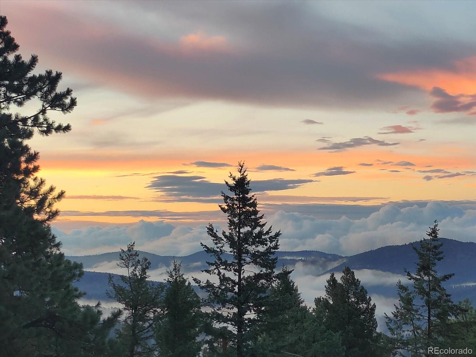 9648 Yegge Rd, Morrison, CO 80465