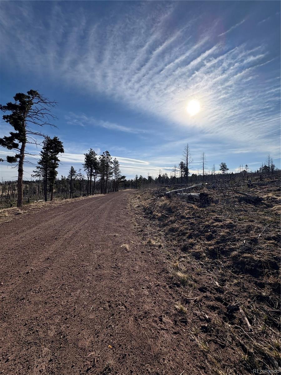 000 Riccardo Ln Lot 2145, Fort Garland, CO 81133
