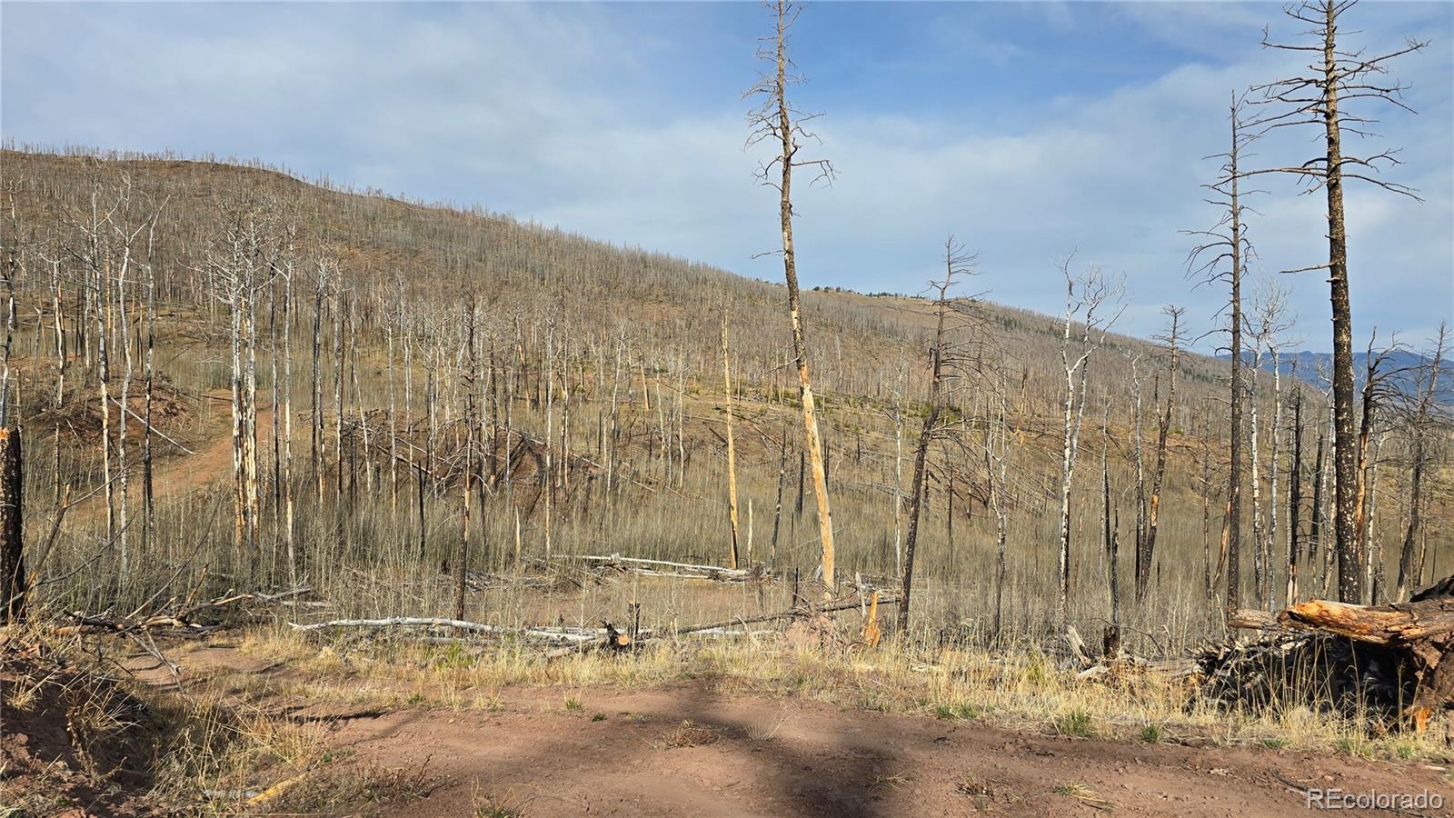 Lot 880 Slaoui Pl, Fort Garland, CO 81133