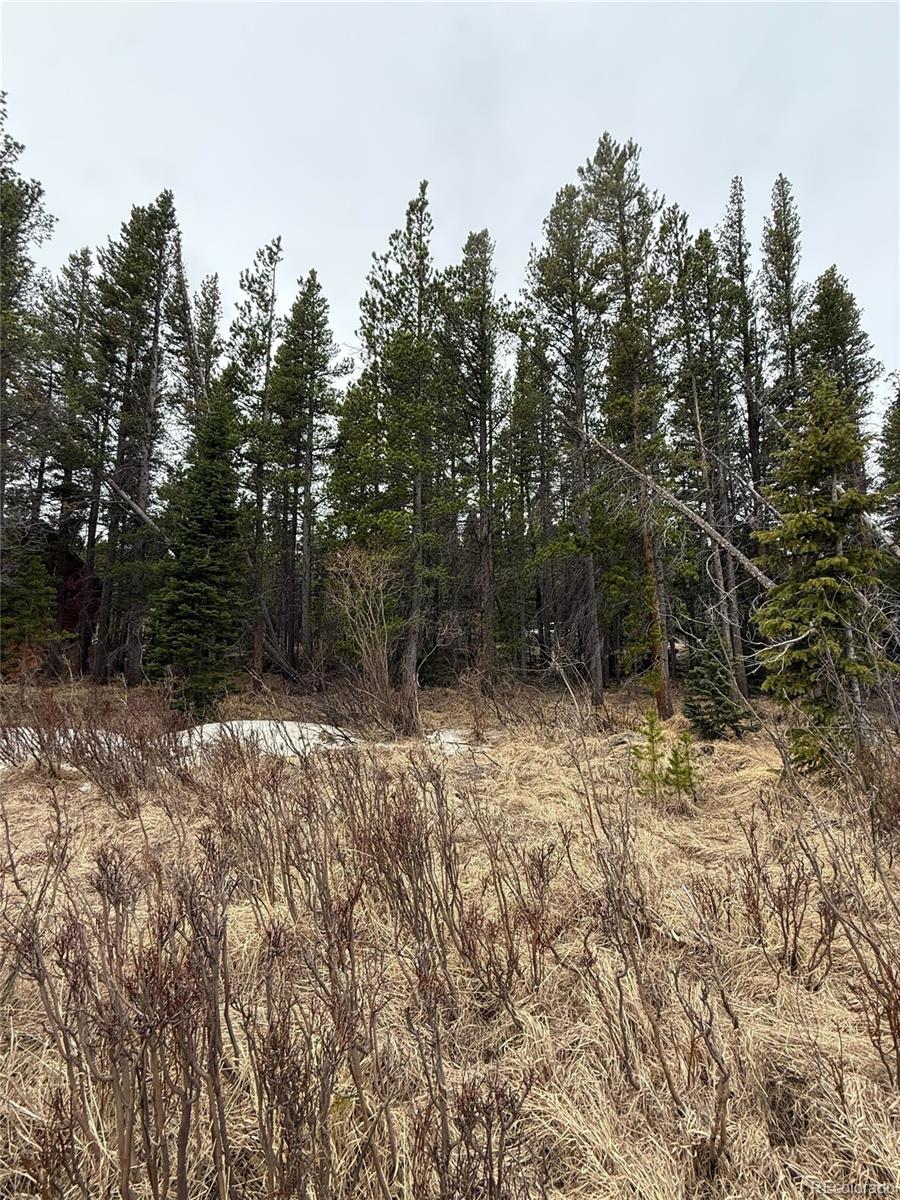 111 Silver Creek Rd, Idaho Springs, CO 80452