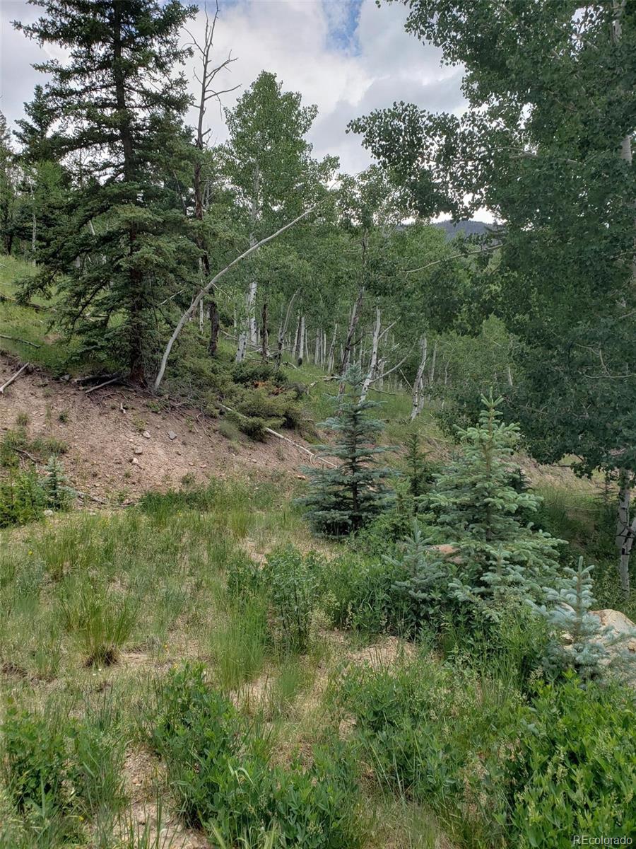 10th St Lot 1, 2, 3, Jasper, CO 81144