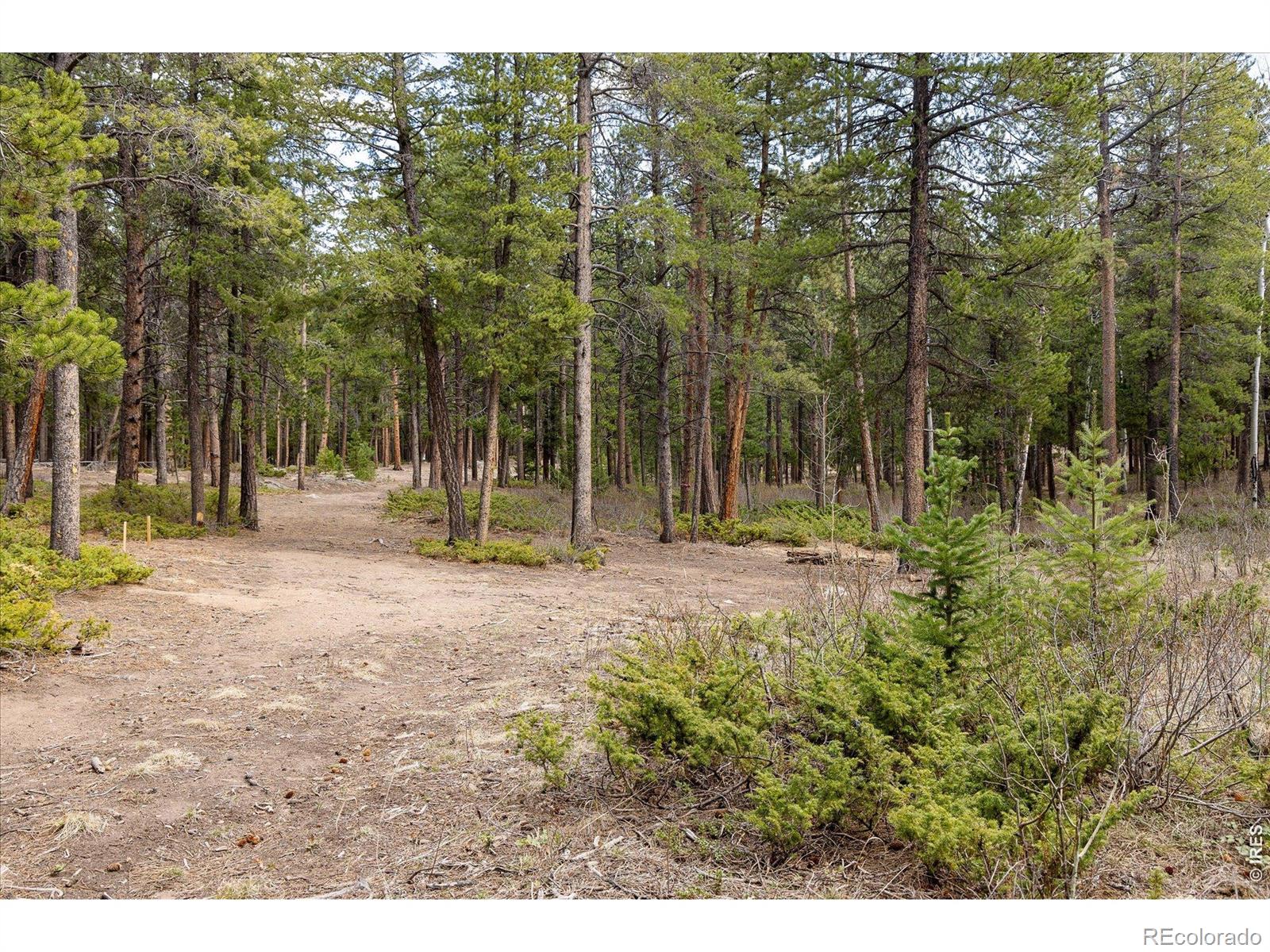 0 1st St, Nederland, CO 80466
