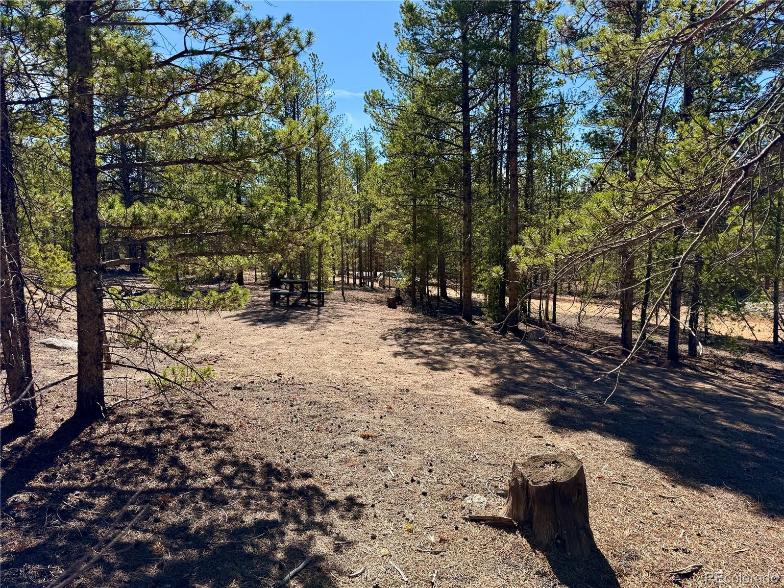 360 Peak View Dr, Leadville, CO 80461