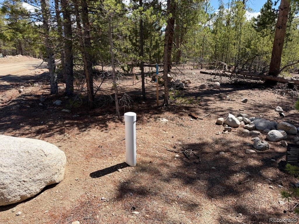 360 Peak View Dr, Leadville, CO 80461