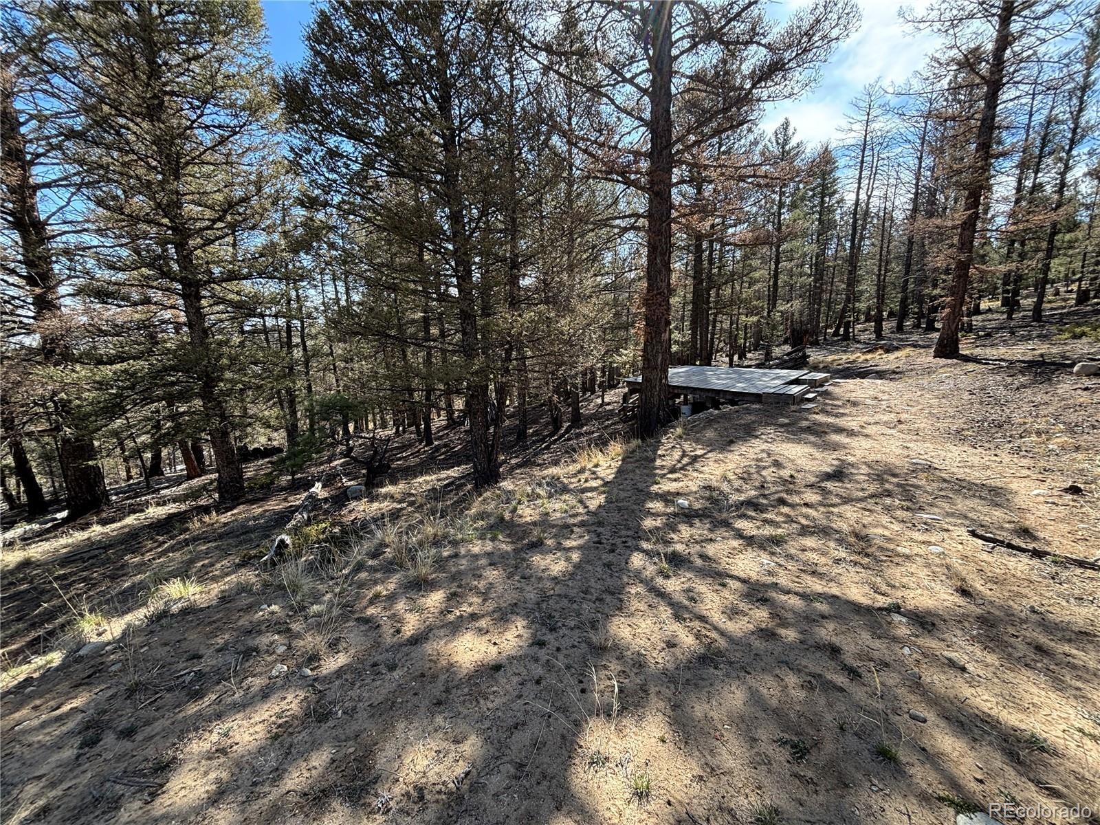 1980 Pitchfork Rd Lot 1251, Hartsel, CO 80449