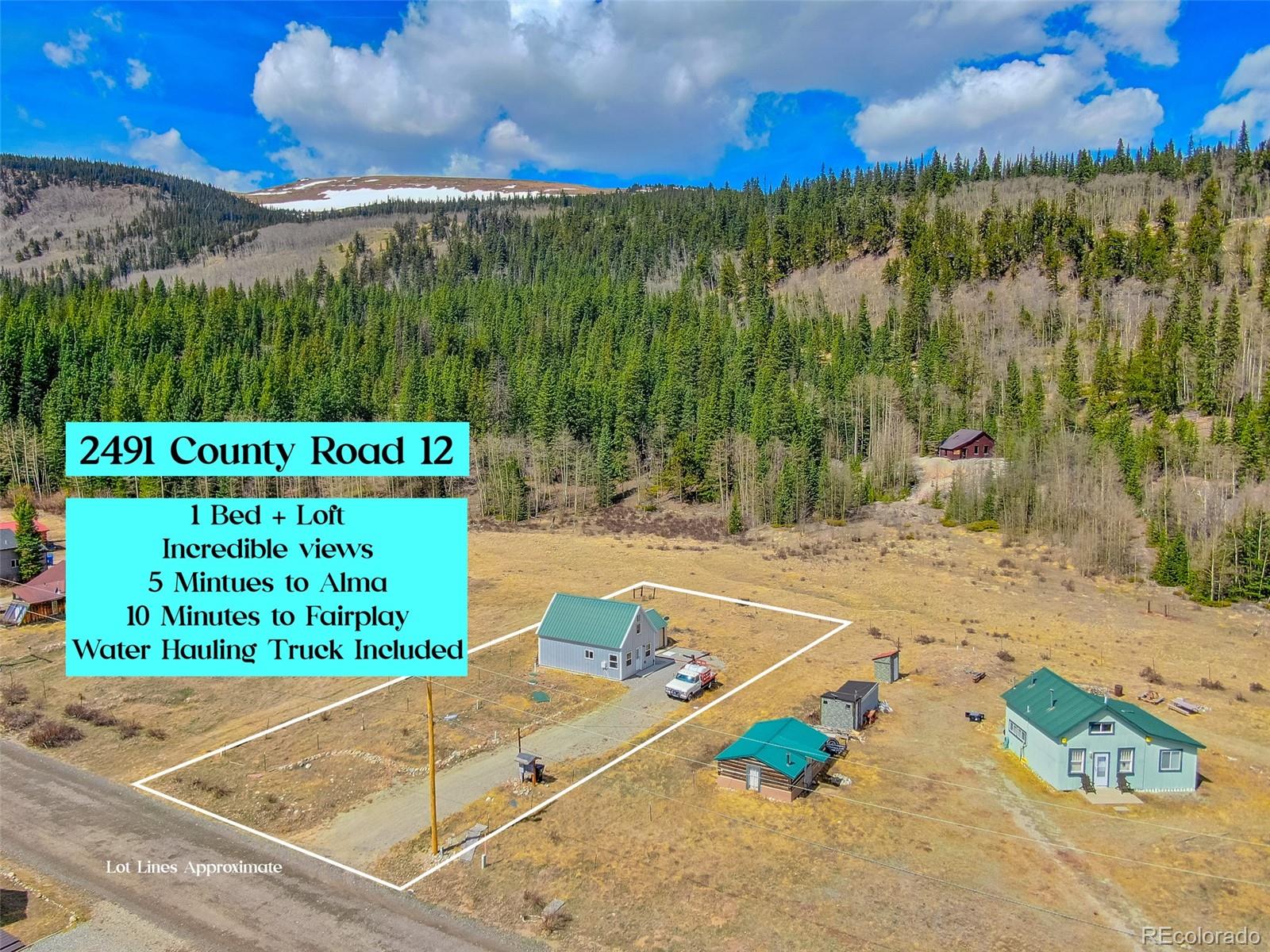 2491 Cr 12, Alma, CO 80420